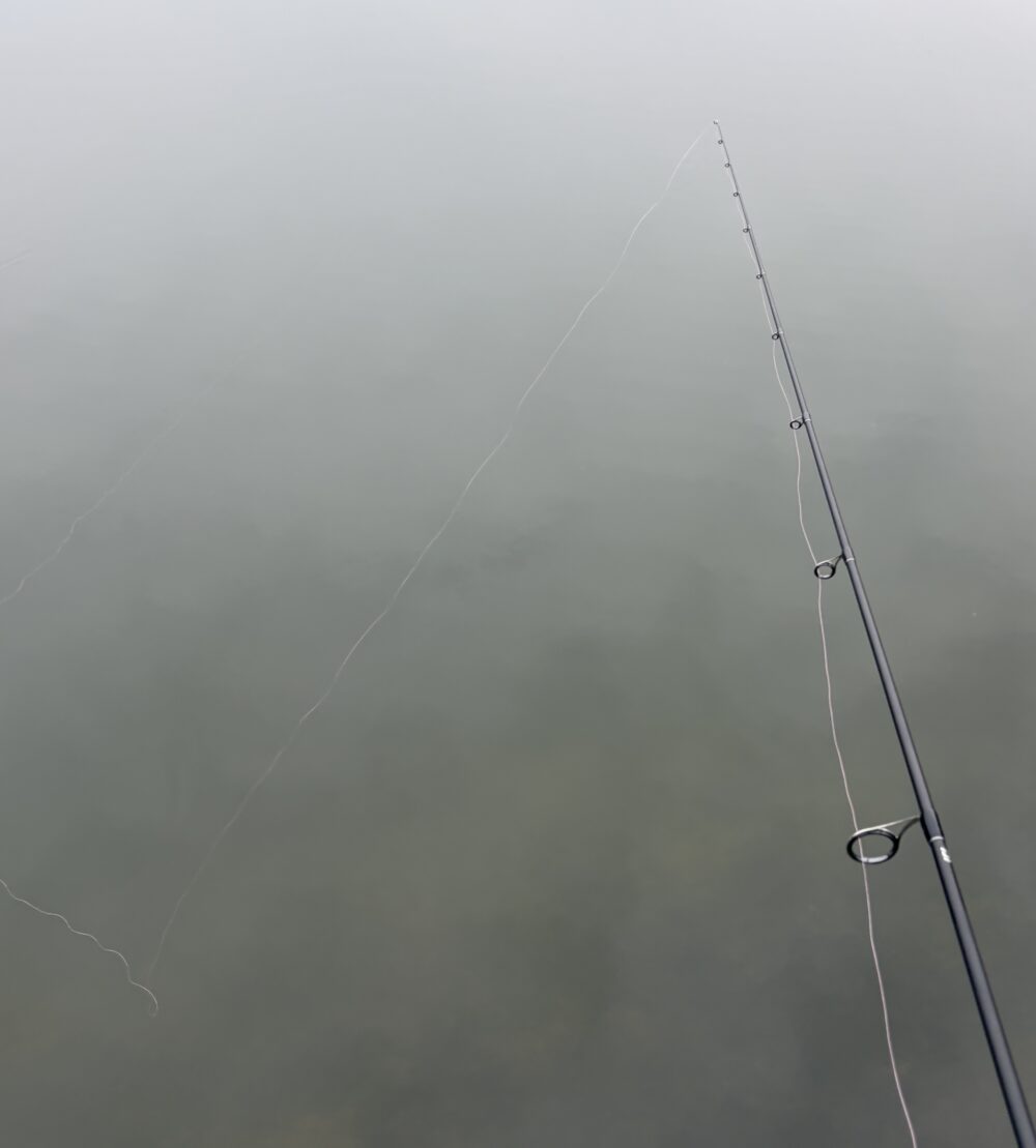 ピッドブルG9の糸クセ