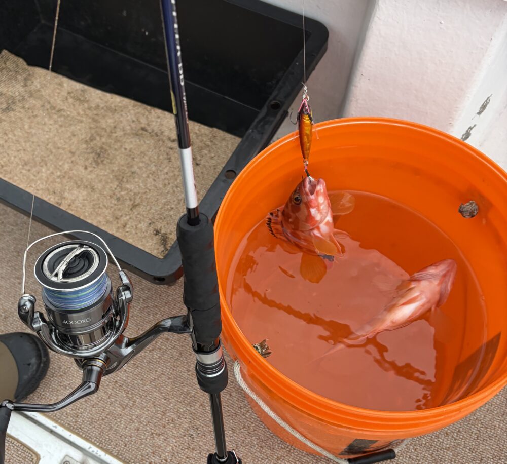 21グラップラーBB LJ S63-1の食い込み実釣