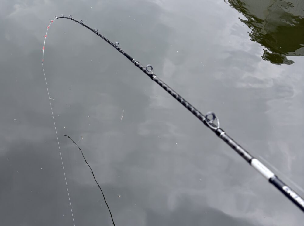 21クロスミッションBB B66MSの食い込み