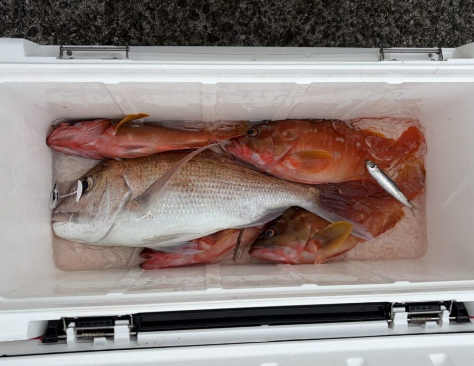 釣果
