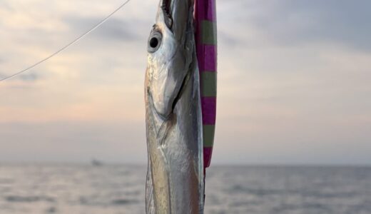【太刀魚ジギング神戸沖9月】タチウオ入門