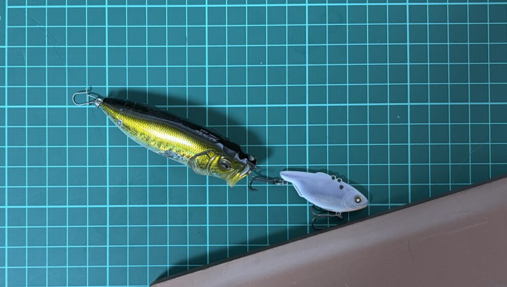 追い込むバス