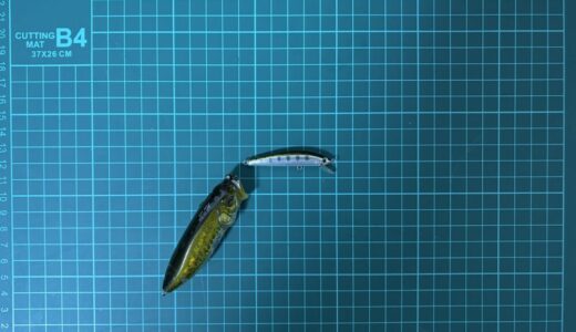 中層の釣り方